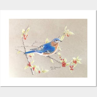 Bluebird Posters and Art